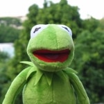 Kermit Sesame Street Groda Plugg för barn, Muppet Show Plyschdocka, Plysch, Leksak, Jul och Födelsedag Leksaker, 40cm Okategoriserad a7796c561c033735a2eb6c: 16cm nyckelring|35cm handdocka|40cm plyschdocka|60cm handdocka