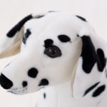 Dalmatiner hund plysch för barn, gigantisk och realistisk leksak, idealisk gåva Animal Plush Dog a75a4f63997cee053ca7f1: 30cm|40cm|50cm|60cm|75cm|90cm